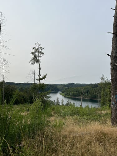 Auf zur Wiehltalsperre (A1)