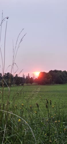 Zattenbacher Feld ab Bellingen