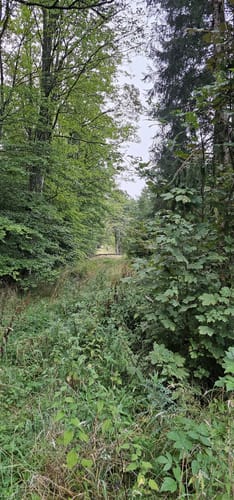 Zattenbacher Feld ab Bellingen