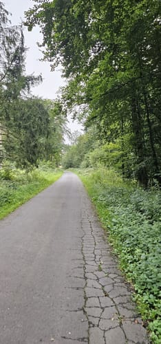 Zattenbacher Feld ab Bellingen