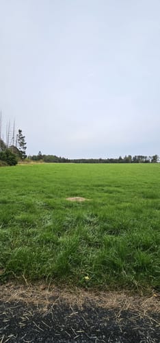 Zattenbacher Feld ab Bellingen