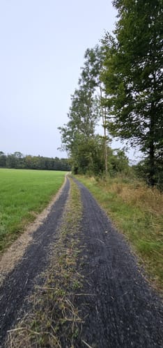 Zattenbacher Feld ab Bellingen