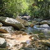 Palo Maria Waterfall, Jalisco, Mexico - 455 Reviews, Map | AllTrails