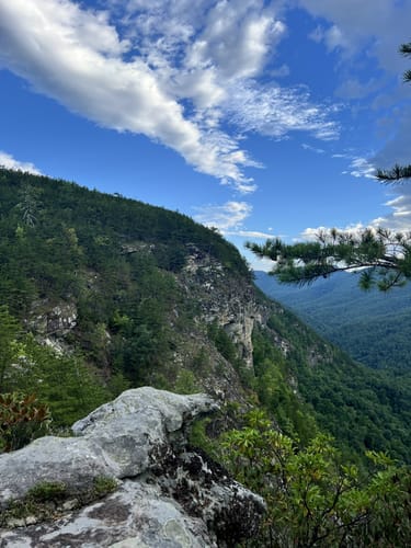 Photos of Conley Cove to Rock Jock Trail North Carolina AllTrails