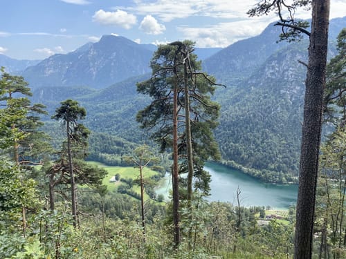 Thumsee - Weißbachschlucht - Höllenbachalm