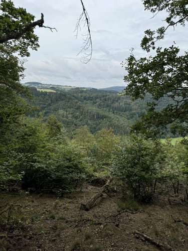 Murscher Aussichten (Premiumspazierwanderweg)