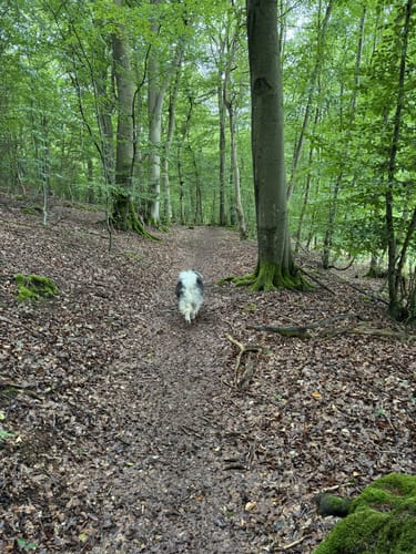 Murscher Aussichten (Premiumspazierwanderweg)