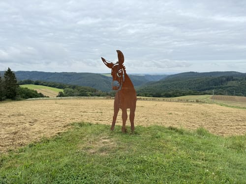 Murscher Aussichten (Premiumspazierwanderweg)