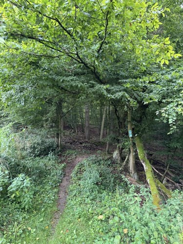 Murscher Aussichten (Premiumspazierwanderweg)