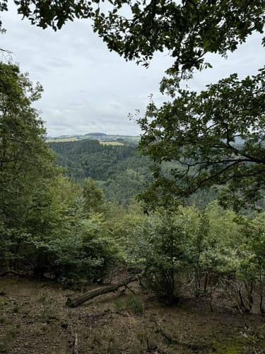 Murscher Aussichten (Premiumspazierwanderweg)
