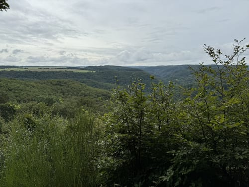 Murscher Aussichten (Premiumspazierwanderweg)