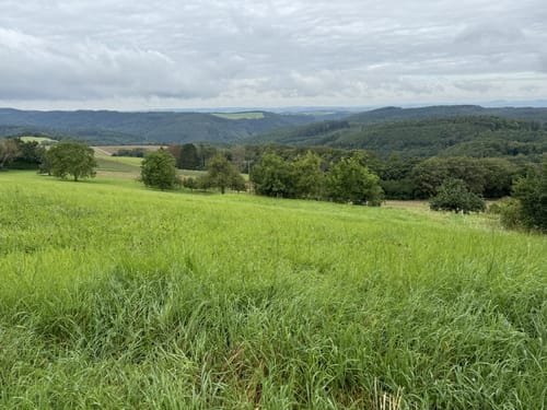Murscher Aussichten (Premiumspazierwanderweg)