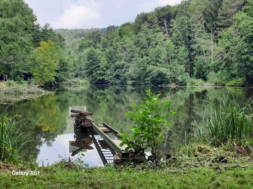 Ensheimer Brunnenweg (Premiumwanderweg)