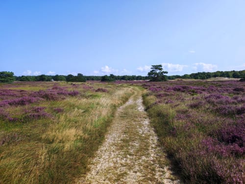 Hiddensee Tour: Kloster - Neuendorf