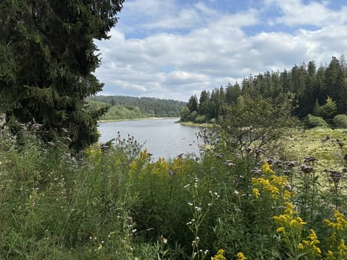 Schwarzenbach-Rundweg