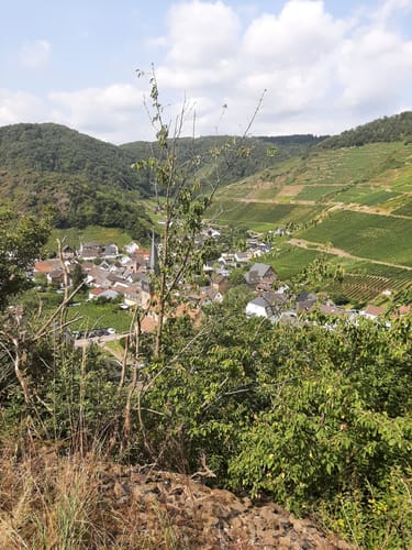 Im Ahrtal von Dernau nach Altenahr