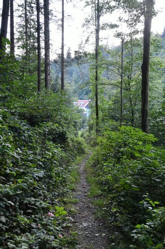 Goldener-Falk-Weg KU12