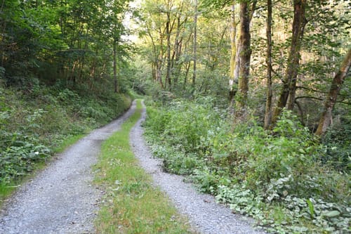 Goldener-Falk-Weg KU12