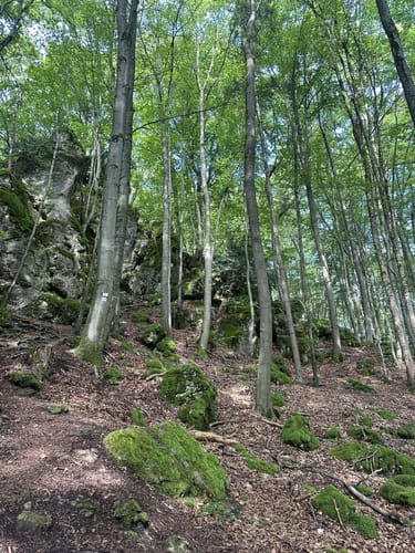 Runde am Eibgrat