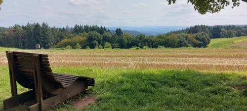 Aussichtsturm Zemmer - Frohnwald Runde