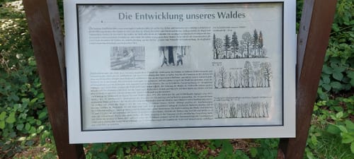 Aussichtsturm Zemmer - Frohnwald Runde