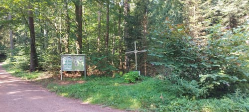 Aussichtsturm Zemmer - Frohnwald Runde