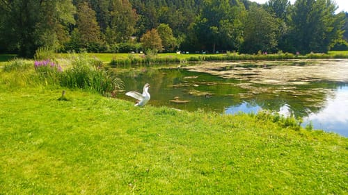 Rund um Lauchtersee und Kneippbad