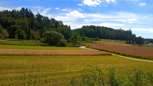Rund um Lauchtersee und Kneippbad