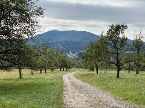 Panoramaweg Baden-Baden Etappe 1: Kurhaus - Talstation der Merkur-Bergbahn