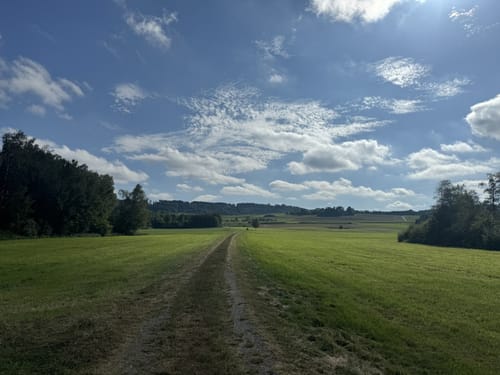 Pfrunger-Burgweiler Ried