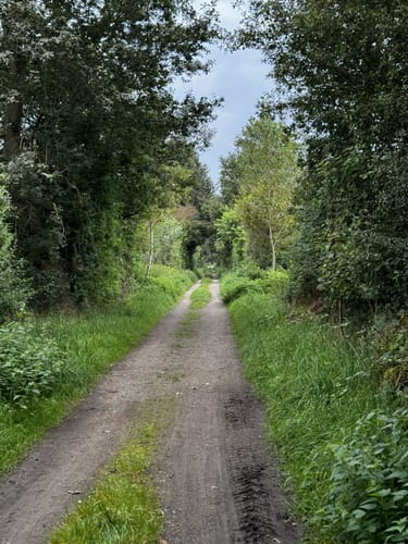 Gangelt: Dunkeleblaue Route