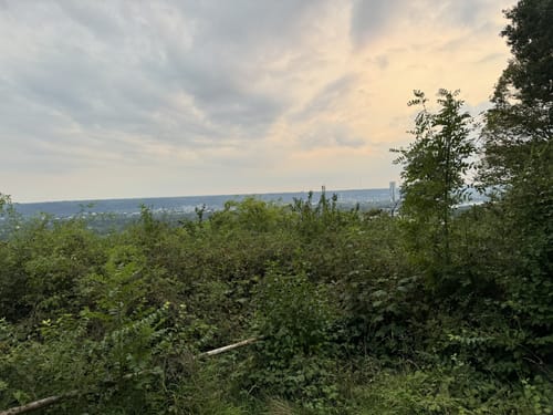Zum Juffernberg