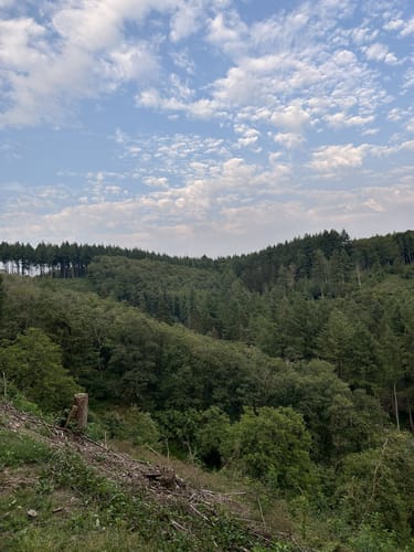 Rundwanderroute Vianden 2 (mit Erweiterung)