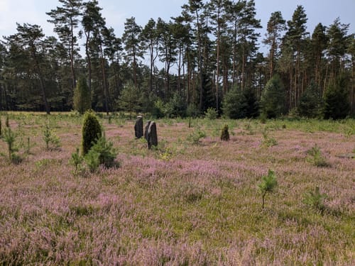 Leine-Heide-Radweg (Radfernweg)