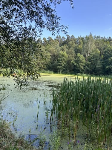 Böblinger Wald Rundweg