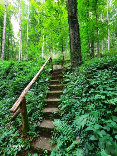 Ensheimer Brunnenweg (Premiumwanderweg)