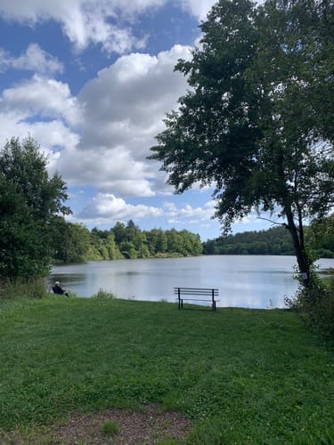 Selketal-Stieg Etappe 1: Stiege - Alexisbad