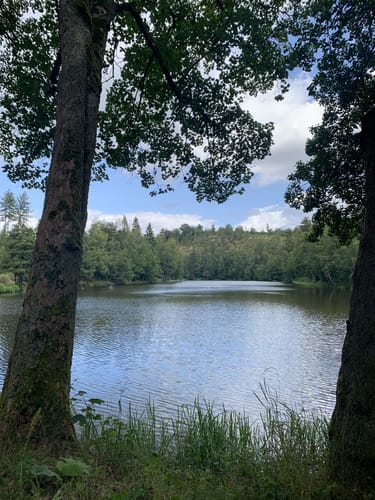 Selketal-Stieg Etappe 1: Stiege - Alexisbad