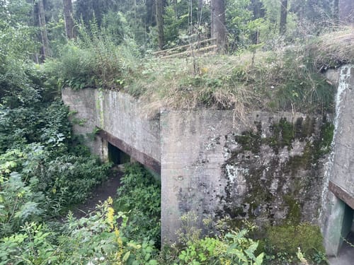 Zu den Bunkern im Buhlert