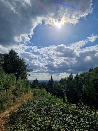 Hünenburg-Weg