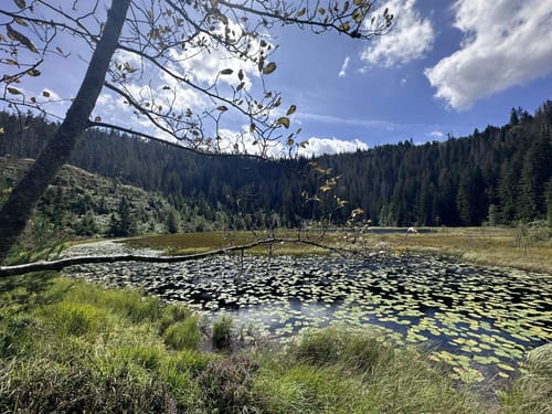 Zum Röterkopf und Huzenbachersee