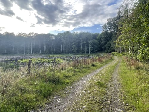 Kitzeberger Wald und Kieler Förde ab Mönkeberg