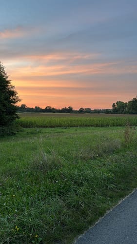 Von Germersheim entlang dem Rhein