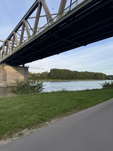 Von Germersheim entlang dem Rhein