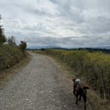 Dungeness Recreation Trail, Washington - 101 Reviews, Map | AllTrails