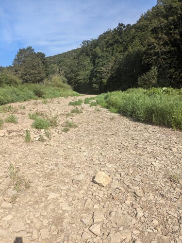 Donauversinkung (Premiumwanderweg)