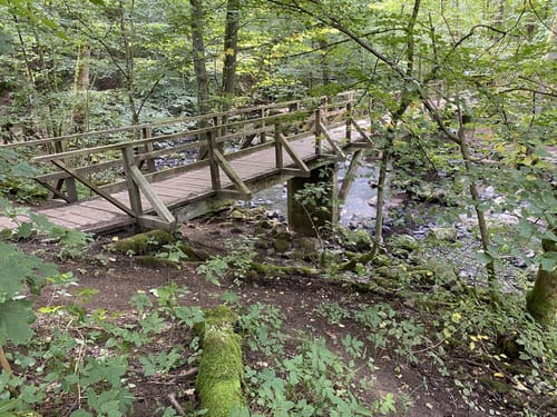 Holzbachschlucht und Secker Weiher Rundtour