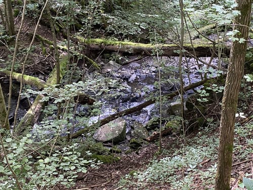 Holzbachschlucht und Secker Weiher Rundtour