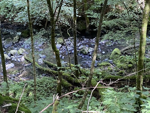 Holzbachschlucht und Secker Weiher Rundtour
