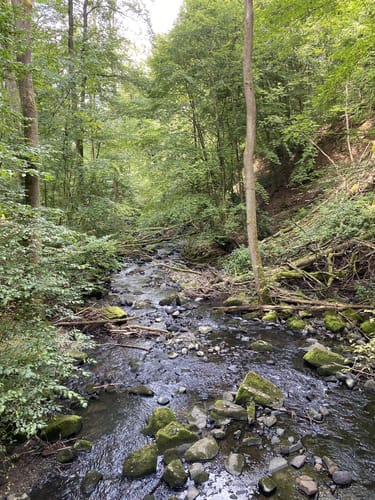 Holzbachschlucht und Secker Weiher Rundtour